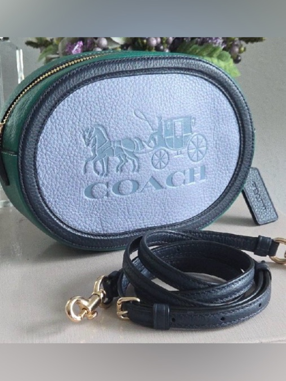 COACH Pebbled Leather Color Blocked Camera Crossbody Bag in Green & Gray